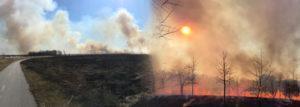 Induction Walk Orland Grasslands Prescribed Fire