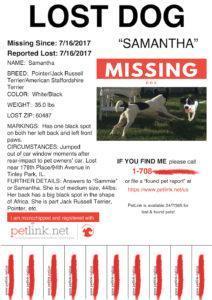 PetLink Lost Dog Flyer for Samantha July 16 2017