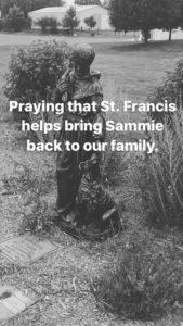 Saint Francis Lost Pets Statue at Tinley Park's St. Stephens Church