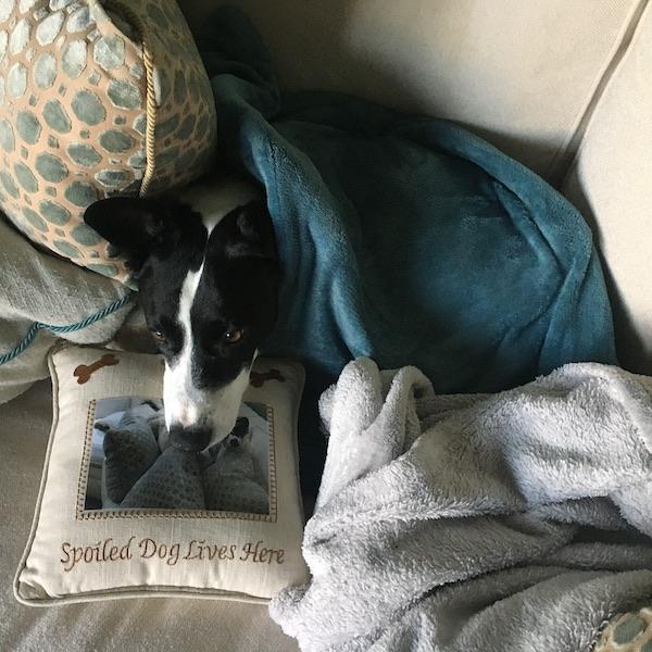 Samantha Pyrzynski Snuggly In Her Blankey And Heating Pad