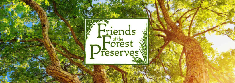 Forest Preserves of Cook County Non-Profit Seeks Artist For Map Art Merchandise