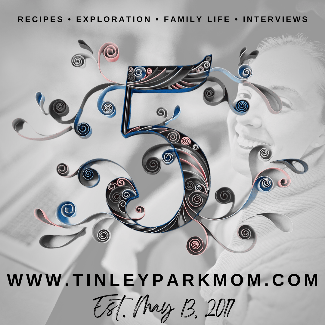 Tinley Park Mom Blog 5 Year Anniversary