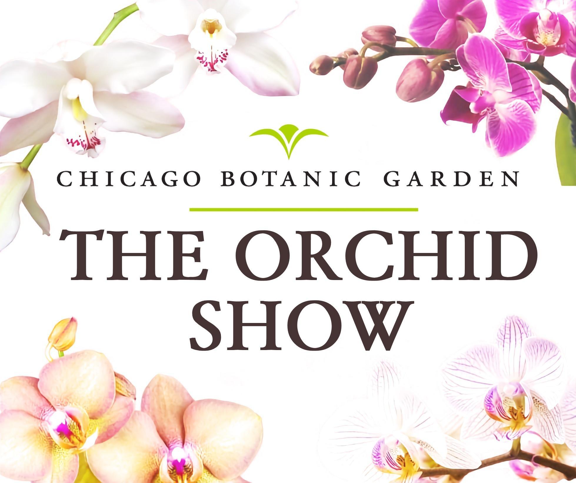 The Orchid Show at Chicago Botanic Garden