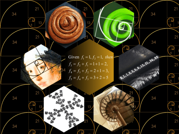 Jason King On The Stunning Ways We See Math in the World