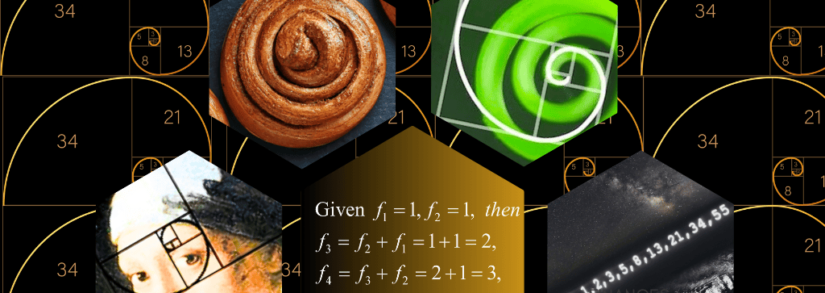 Jason King On The Stunning Ways We See Math in the World