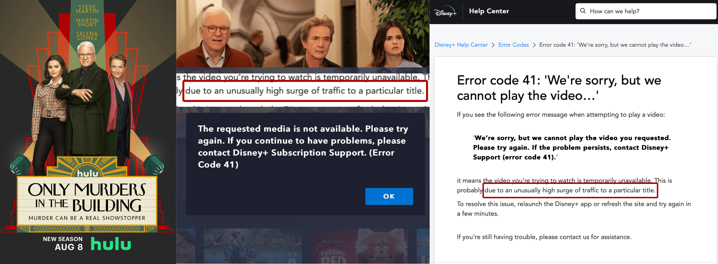 Only Murders In the Building Disney Plus Error Code 41 — Tinley Park Mom  Blog