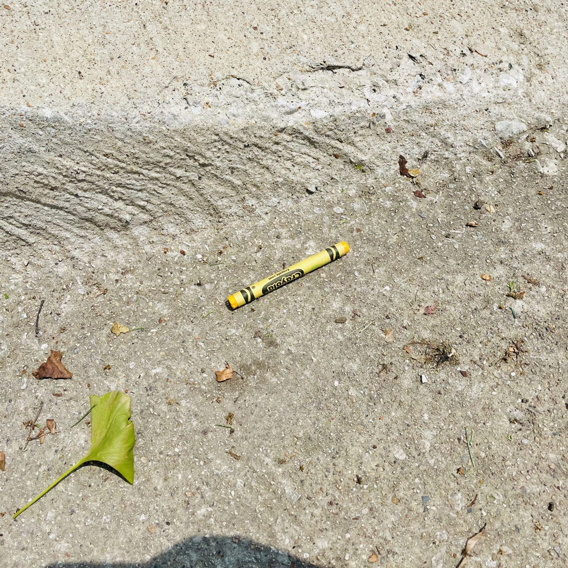 Yellow Crayon found on the street outside the June 7th, 2025 Drew Daywalt book signing at Anderson's Bookshop in Naperville.