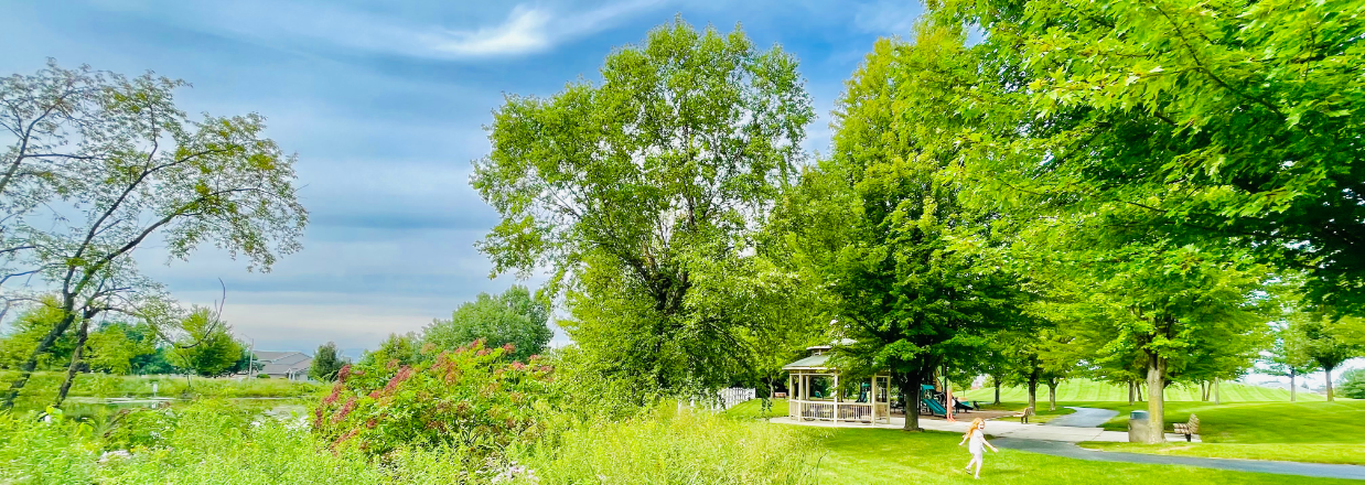 Why Marley Creek Park Is My Favorite Hidden Playground in the Chicago Southland