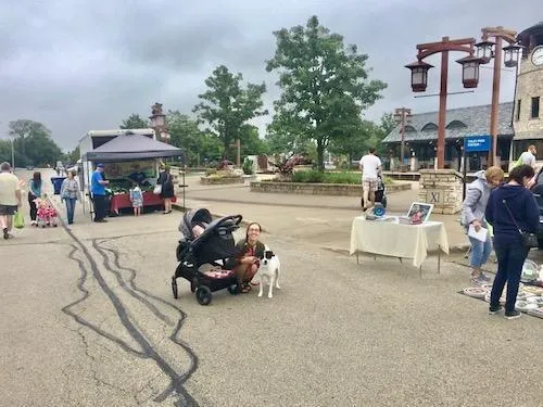 Tinley Park Mom Dog and Baby In Stroller at Tinley Park Farmers Market
