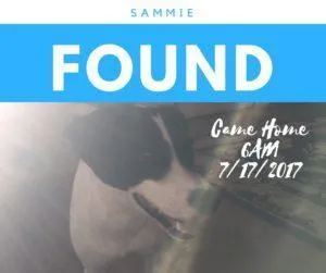 Sammie Found July 17 2017