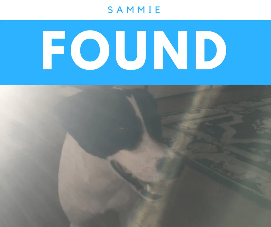 Sammie Found
