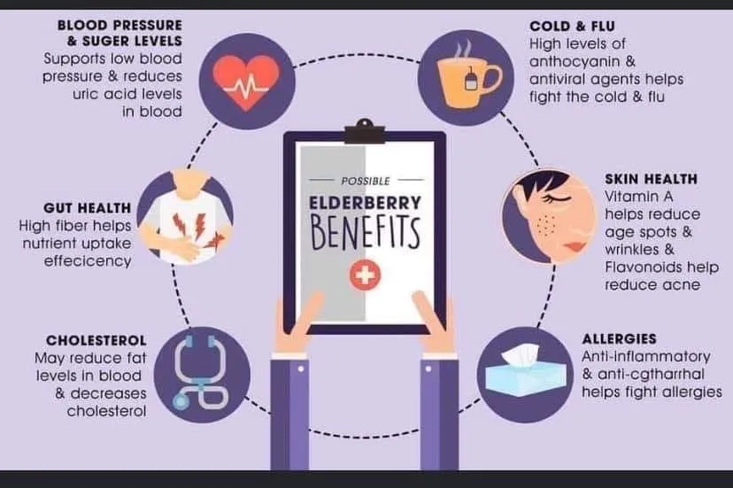 The Benefits of Elderberries Infographic