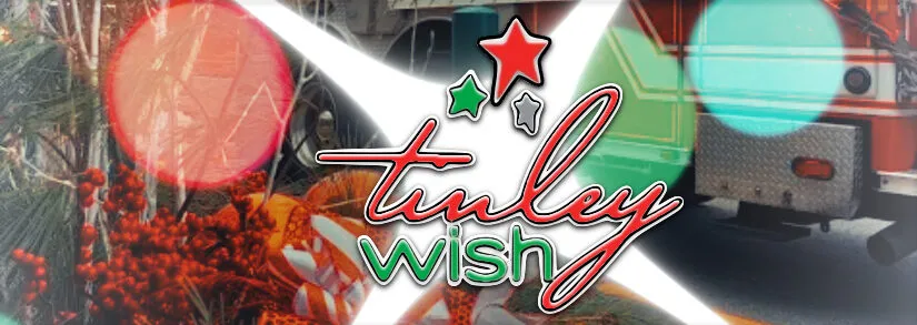 Tinley Wish — Tinley Park, IL Nonprofits and Charities