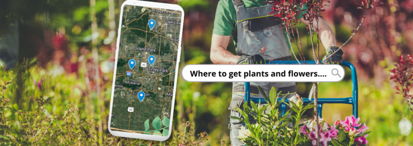 Plant Shops, Garden Centers, Nurseries To Know In Chicago’s Southland