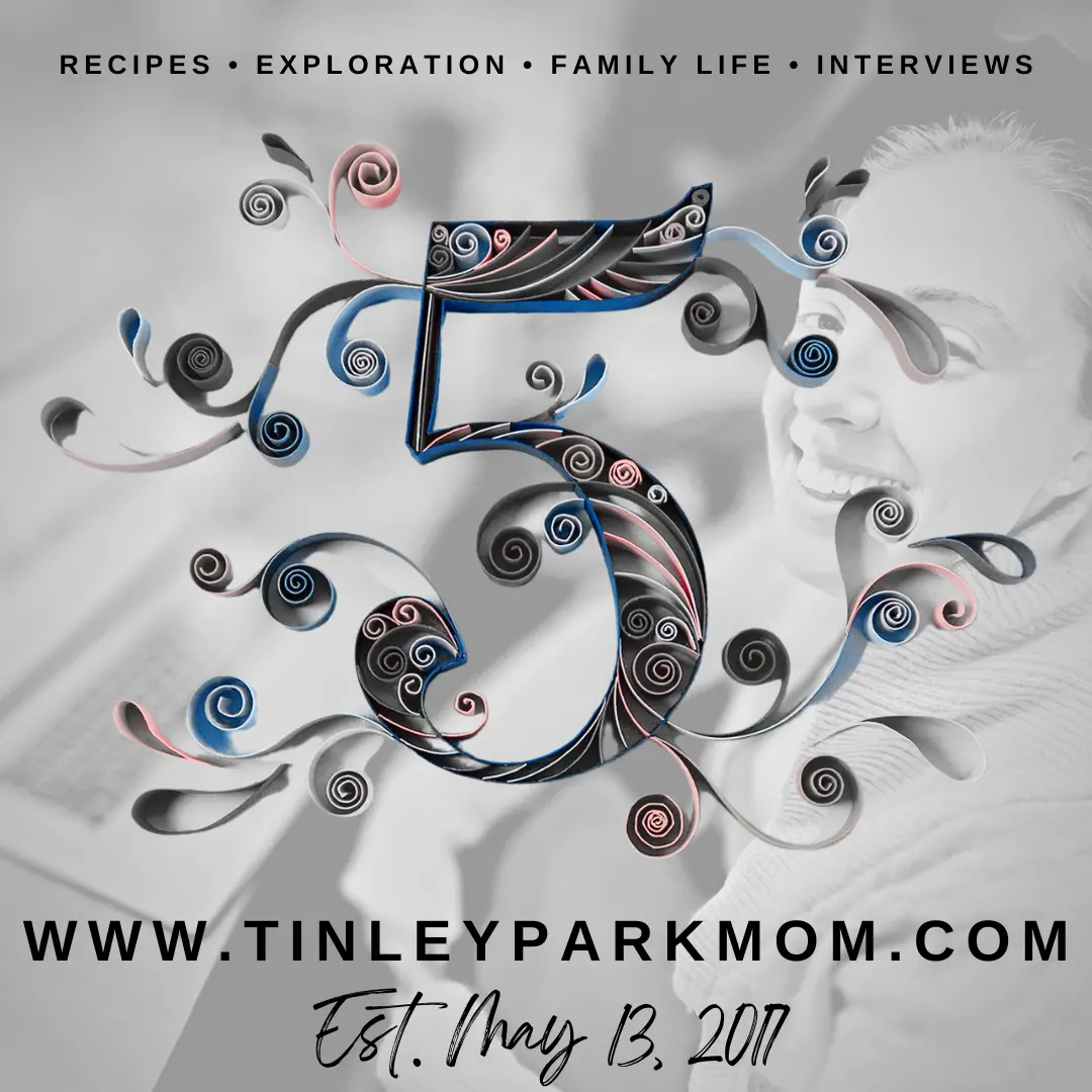 Tinley Park Mom Blog Turns 5