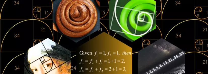 Jason King On The Stunning Ways We See Math in the World