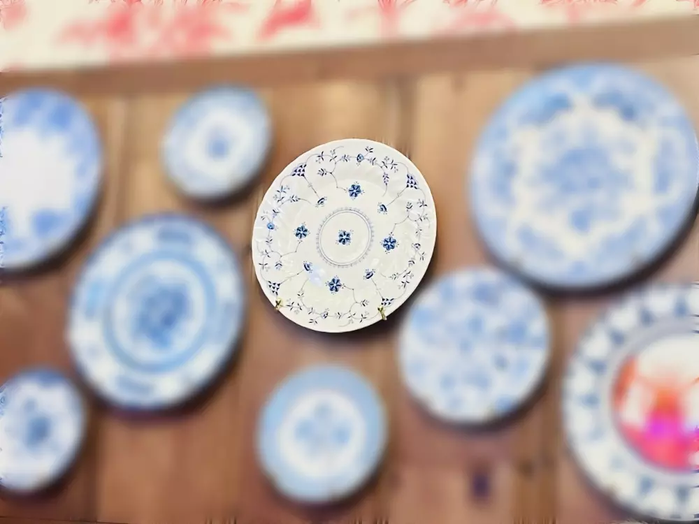 Special Blue Plate on Vinny's Clam Bar Wall